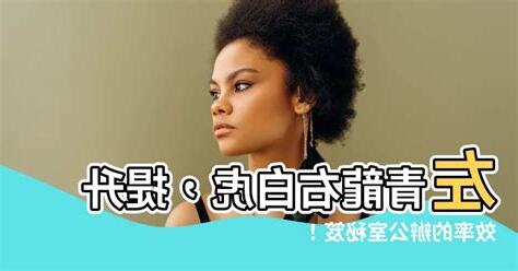辦公桌 左青龍